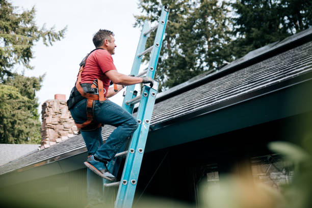 Best Rubber Roofing (EPDM, TPO)  in Rock Creek, MN